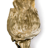 Driftwood Two Light Wall Sconce