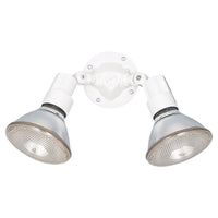 Two Light Flood Light