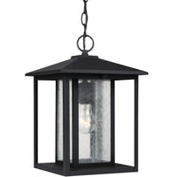 Hunnington 14" Hanging Lantern — Clear