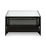 Shadow Box Coffee Table