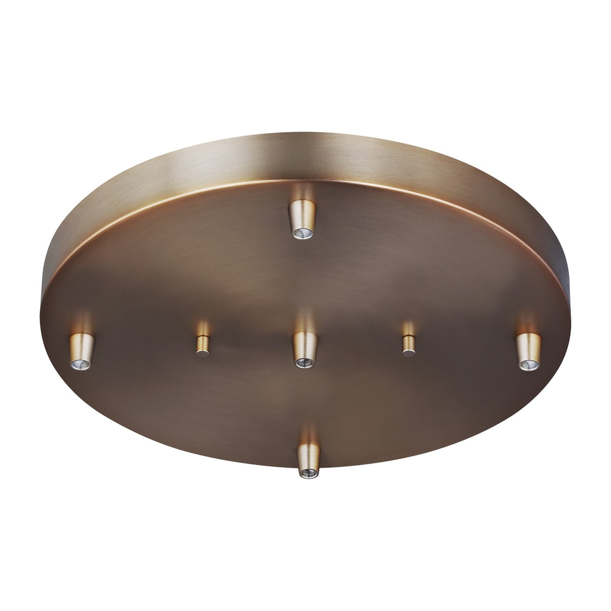 Five Light Multiport Canopy
