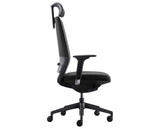 Coda | Modern Home Office Task Chair