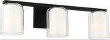 Holden 23" Vanity