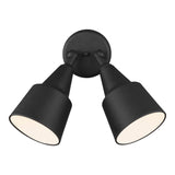 Two Light Adjustable Swivel Flood Light