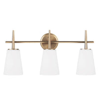 Driscoll Three Light Bath