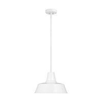 One Light Outdoor Pendant — 9.00", 75 W