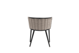 Diva Side Chair