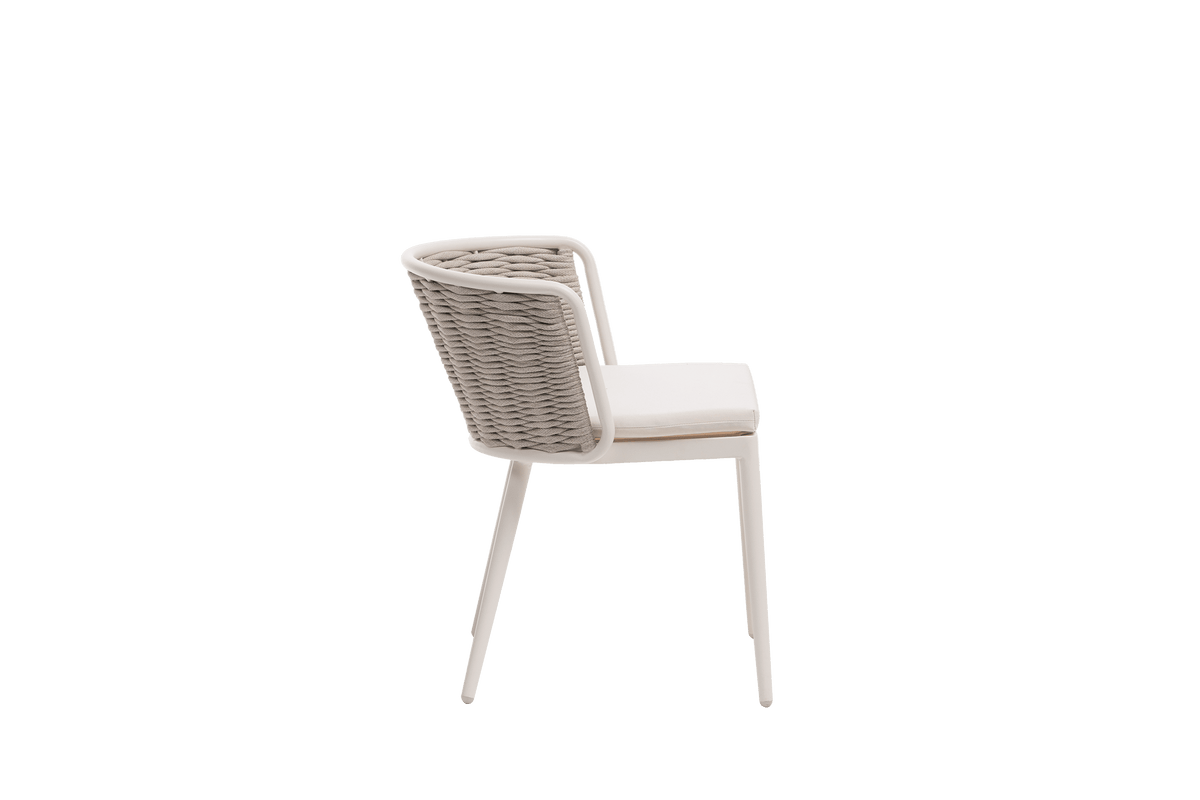 Diva Side Chair