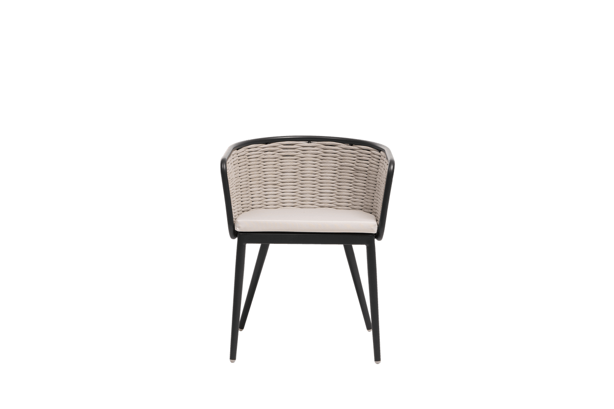 Diva Arm Chair