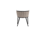 Diva Arm Chair