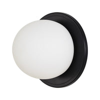 Sybils LED Wall Sconce