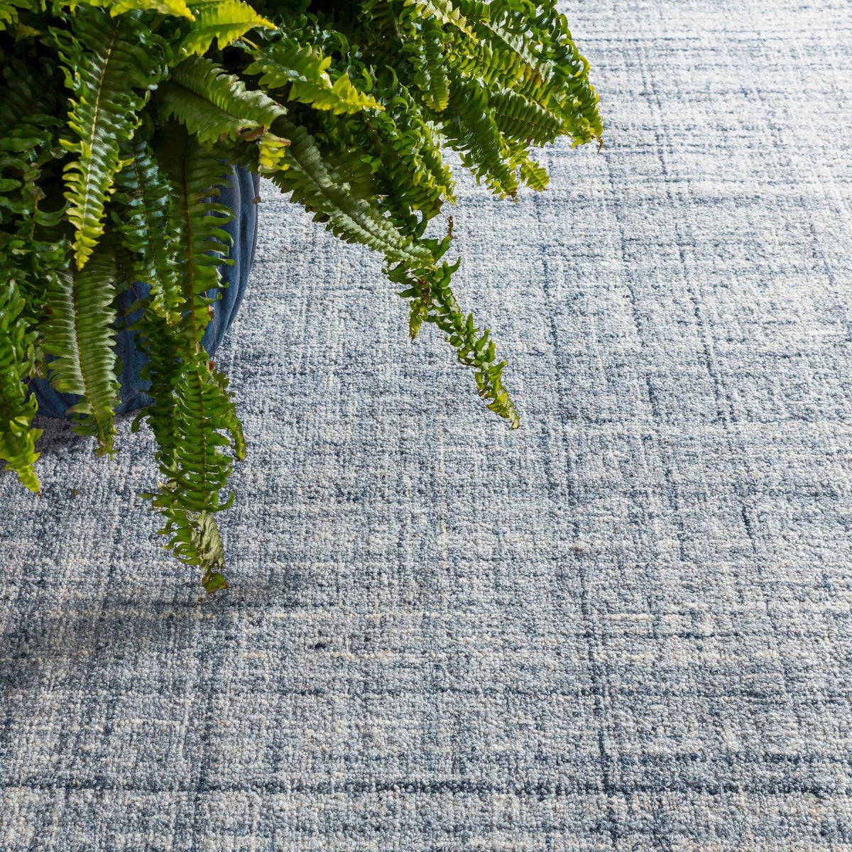 Dash & Albert Harris Hand Micro Hooked Wool Rug in Blue / Ivory, close-up with a fern