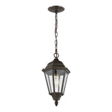 Bakersville Flat 14.5" Hanging Lantern — Clear Beveled