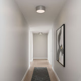 Albee One Light Flush Mount