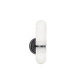 Salon LED Wall Sconce — 2 Light