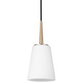 Driscoll One Light Pendant