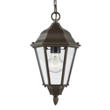 Bakersville Flat 14.5" Hanging Lantern — Clear Beveled