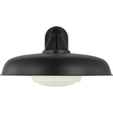 Liora 20" Outdoor Wall