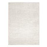Rug — Transitional
