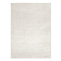 Rug — Transitional