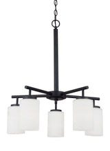 Oslo Five Light Chandelier — Cased Opal Etched