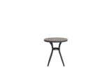 Palm Harbor End Table w/Everrawood Top