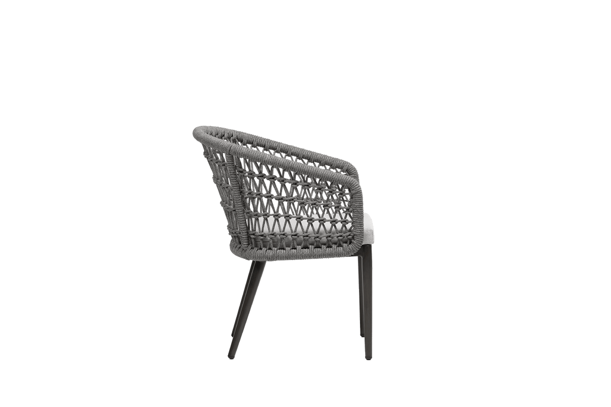 Poinciana Dining Arm Chair