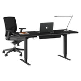 BDi Sequel 20 Sit + Stand Desk in Charcoal Stained Ash, on white
