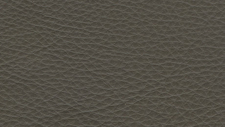 Le Mans Leather Grey with Wenge Wood | Natuzzi Adrenalina 3-Seater Sofa | Valley Ridge Furniture
