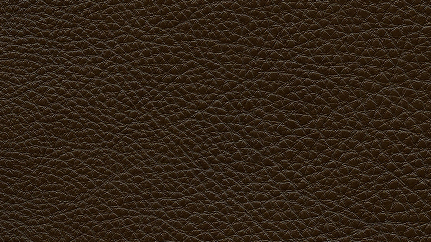 Oregon Leather Chocolate with Wenge Wood | Natuzzi Destrezza Sofa | Valley Ridge Furniture