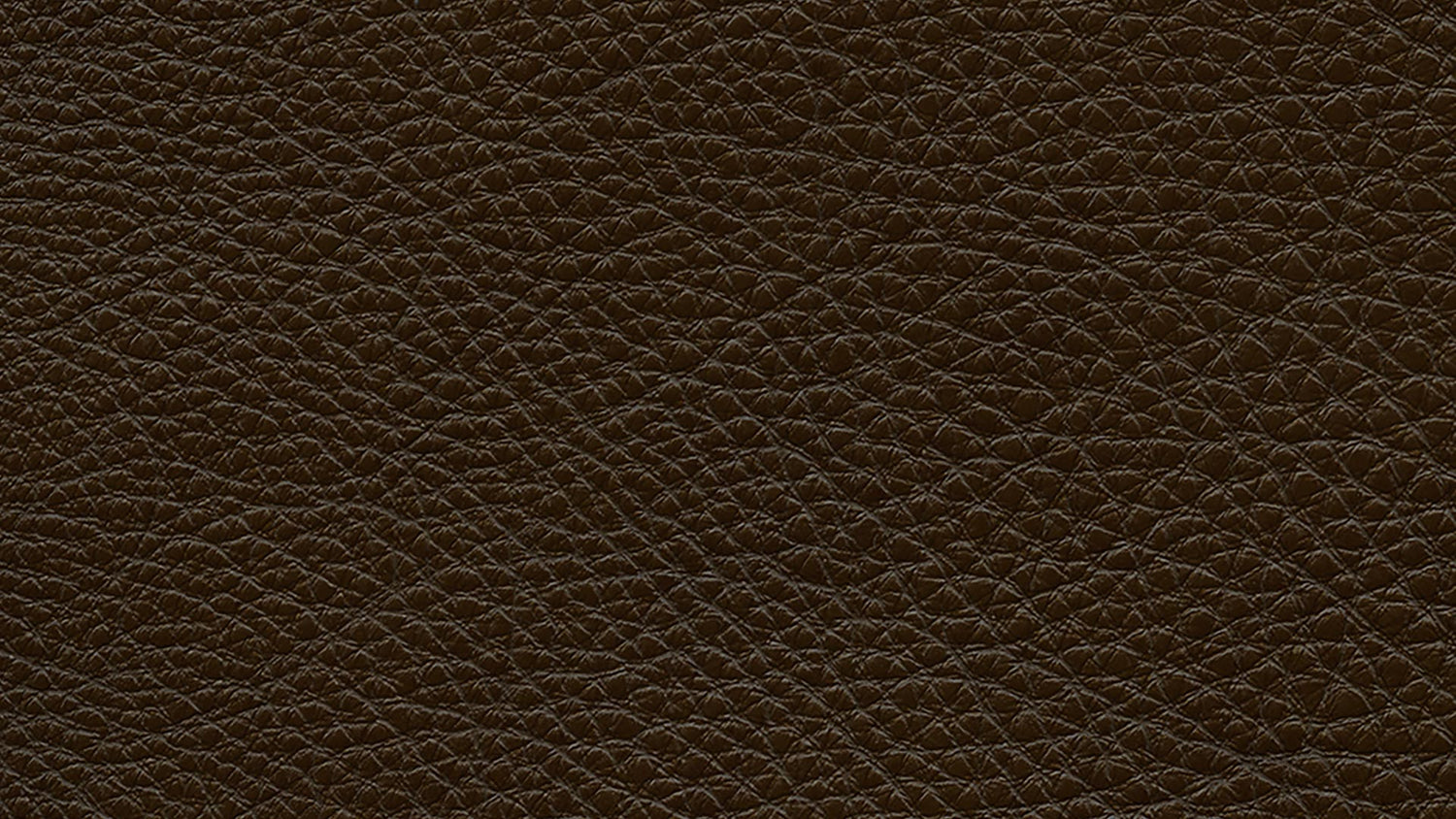 Oregon Leather Chocolate with Wenge Wood | Natuzzi Destrezza Sofa | Valley Ridge Furniture