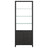 Charcoal Ash Veneer & Polished Tempered Glass | BDI Linea 33" Shelf | Valley Ridge Furniture