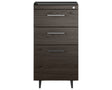 Charcoal Ash Veneer and Black Satin-Etched Glass with Black Steel | BDI Sequel 3 Drawer File Cabinet | Valley Ridge Furniture