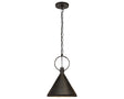 Natural Rusted Iron and Aged Iron | Limoges Medium Pendant | Valley Ridge Furniture