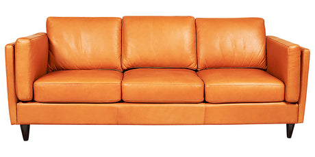 Sofa as Shown | Divani Tessa Sofa | Valley Ridge Furniture