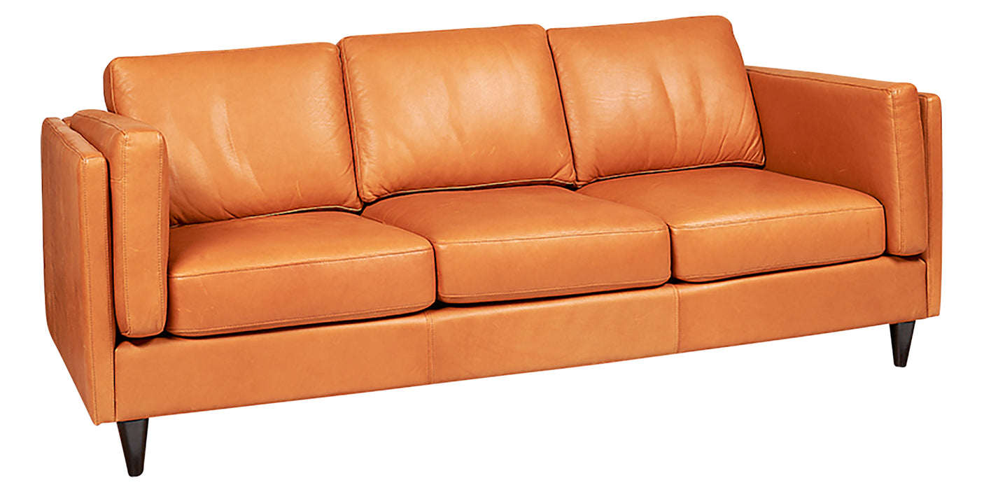 Sofa as Shown | Divani Tessa Sofa | Valley Ridge Furniture