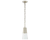 Polished Nickel and Clear Glass | Robinson Small Pendant | Valley Ridge Furniture